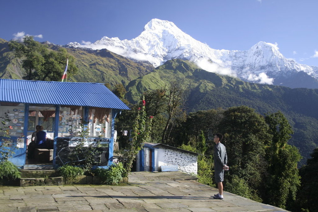 main_Tadapani_Lodge.jfif