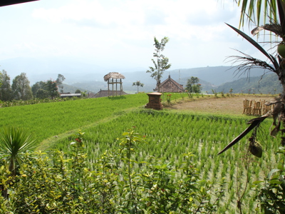 Route Bali, 18 dagen - Day 13