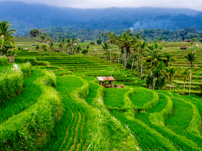 Route Bali, 18 dagen - Day 15