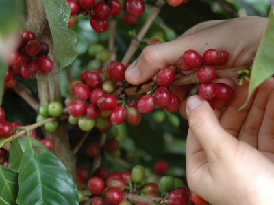 Route Nicaragua, 23 dagen - Dag 6