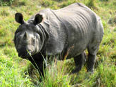 Route India en Nepal, 20 dagen (oud) - Day 11