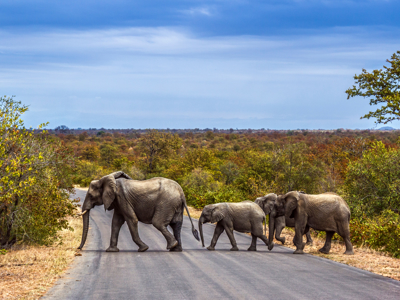 Route Johannesburg - Kaapstad - Dag 3