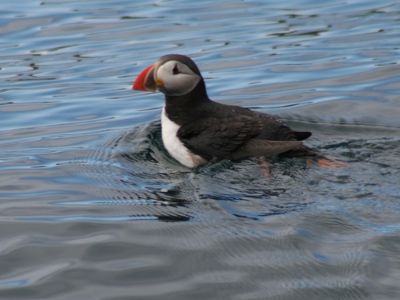 Zeilreis met de Antigua 2020 - Dag 8