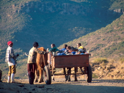 Route Kaapstad - Johannesburg - Dag 9