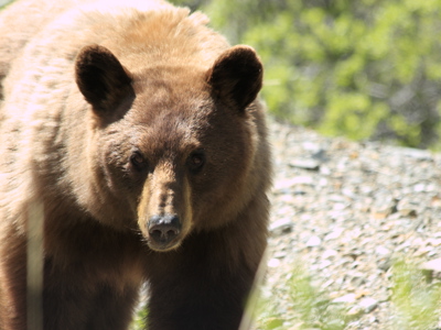 Route Canada, 22 dagen - Day 10