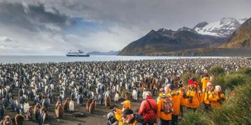 Groepsrondreis Antarctica en South Georgia - pinguinsafari