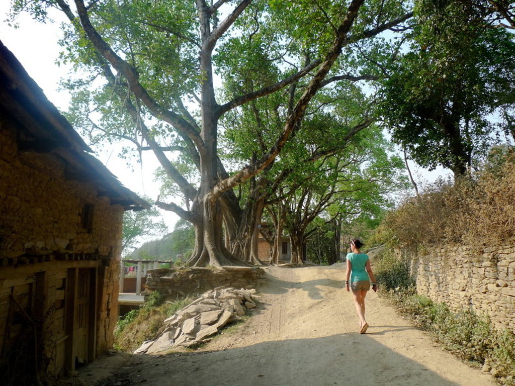 main_Bandipur_landschap_NEK.jfif
