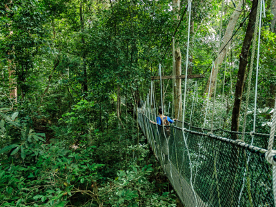 Route Maleisië Hoogtepunten 16 dagen - Dag 7