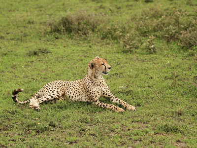 Route 22-35 Kenia & Tanzania, 20 dagen - Day 8