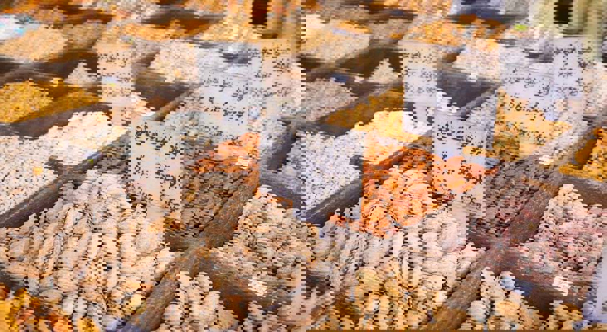 Traditionele markt Amman Jordanië Traditionele markt Amman Jordanië