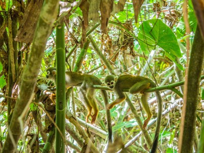 Route Suriname, 26 dagen - Dag 9