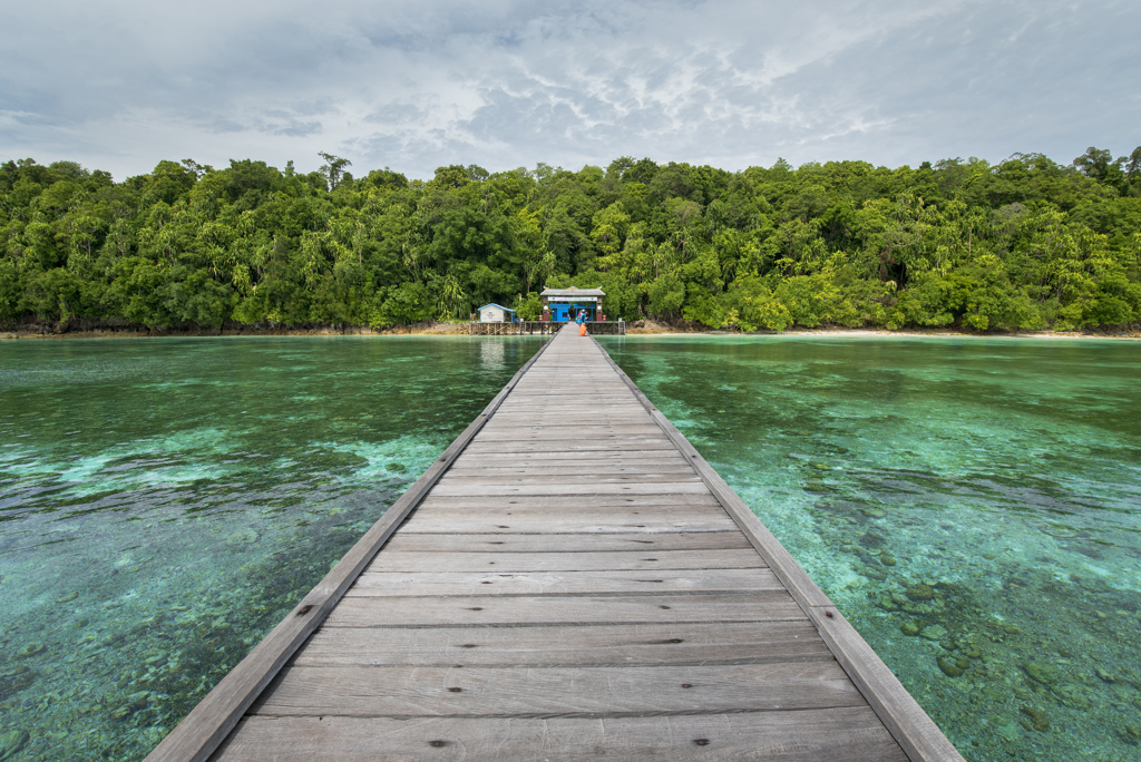 Groepsrondreis Kalimantan