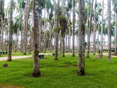 Route Suriname, 26 dagen (2019) - Dag 3