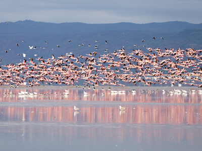 Kenia, Tanzania en Zanzibar, 22 dagen - Dag 13