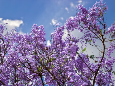 Route Namibië, 20 dagen - Dag 15