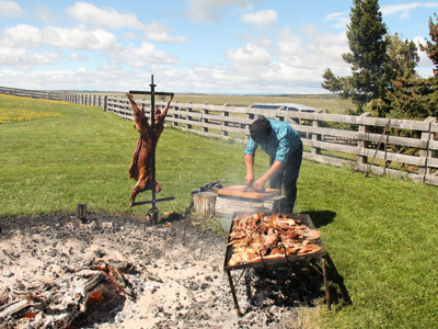 Standaard route Patagonië - Dag 14