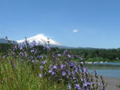 Festivalreis, 34 dagen - Dag 4