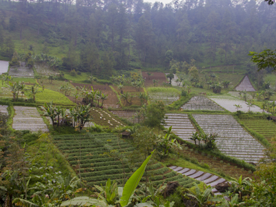 Route Java en Bali, 22 dagen - Day 5