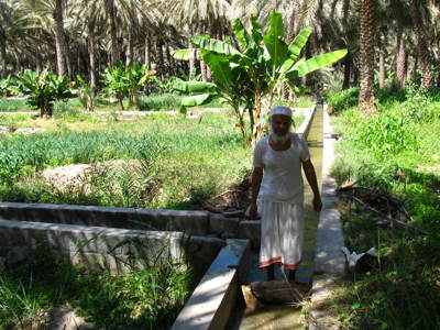 route Oman en Dubai, 11 dagen - Dag 6