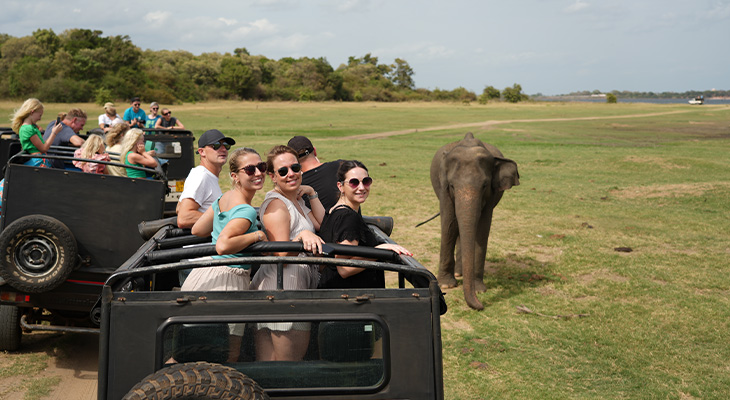 Safari in Sri Lanka Safari in Sri Lanka