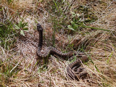 Route Suriname, 26 dagen - Dag 15