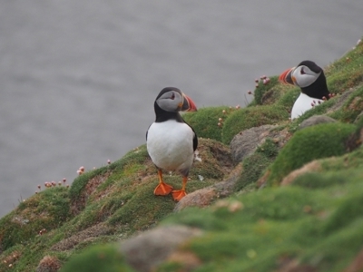 Aberdeen naar Spitsbergen, 15 dagen - Dag 3