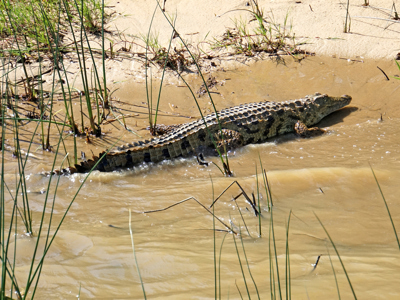 Route Zuid-Afrika, 16 dagen - Dag 4