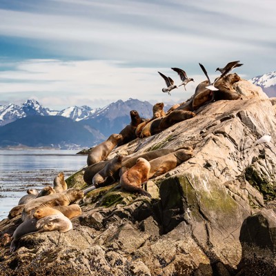 Groepsrondreis Patagonië Hoogtepunten