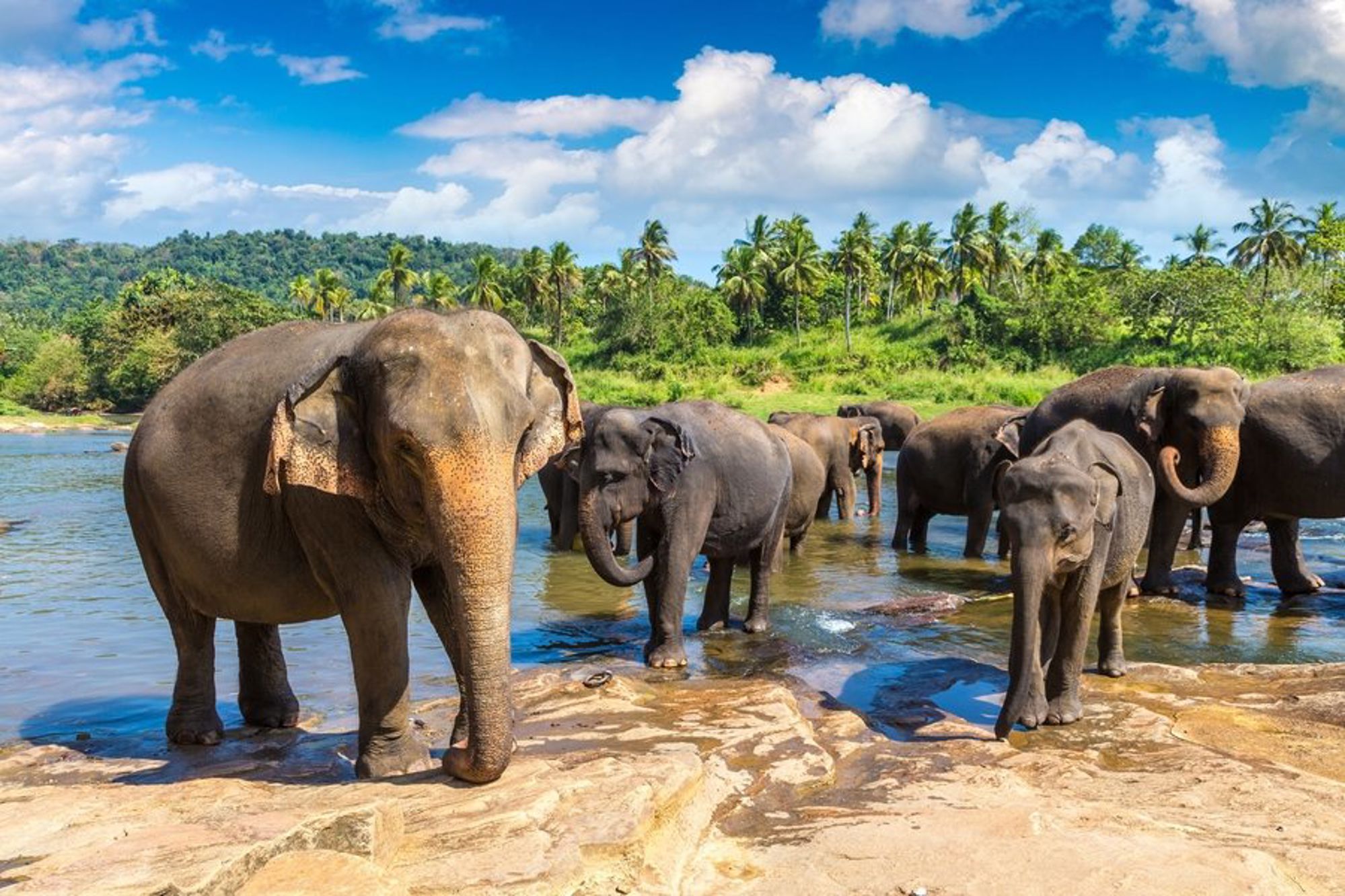 Groepsrondreis Sri Lanka en Malediven