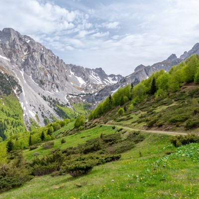 4x4 rit met chauffeur naar de Komovi-berg