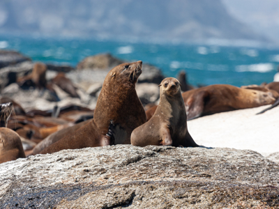 Route Zuid Afrika - Dag 8