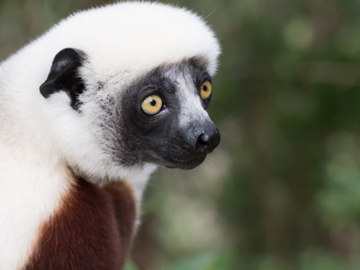 Route Madagascar, 19 dagen - Dag 16