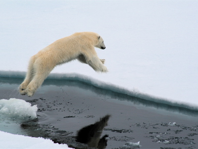Route Noordwaards - Dag 11