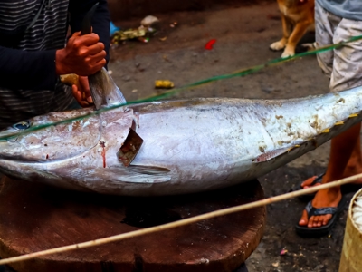 Route 23-daagse reis West-Papua - Day 14