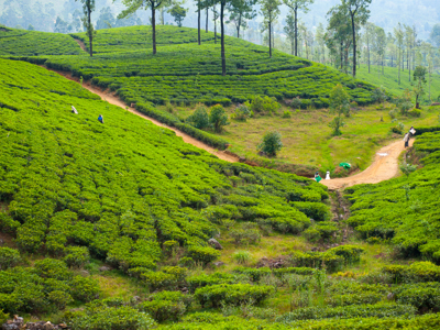 Route Sri Lanka reis, 24 dagen OUD - Dag 15