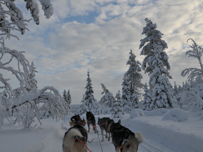 route Rusland winter, 12-daagse reis - Dag 4