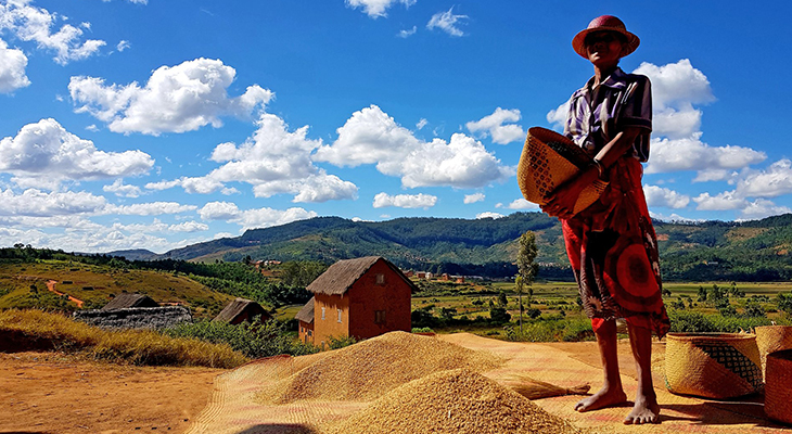 Local met mand in Madagascar Local met mand in Madagascar