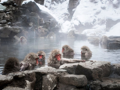 Japan Familie 2025 - Day 6