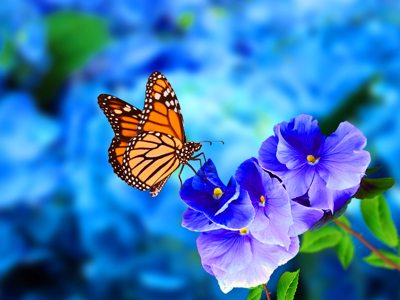 Familiereis Guatemala en Belize, 18-dagen - Day 13