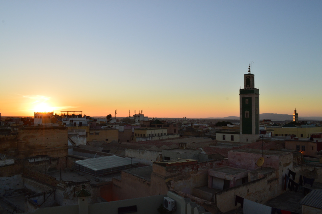 DSC_0915.JPG