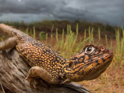 Route West Australië, 25 dagen - Day 12