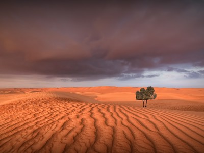 Route Oman en Dubai, 16 dagen - Dag 4