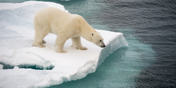 Groepsrondreis Spitsbergen 11, 13 of 15 dagen