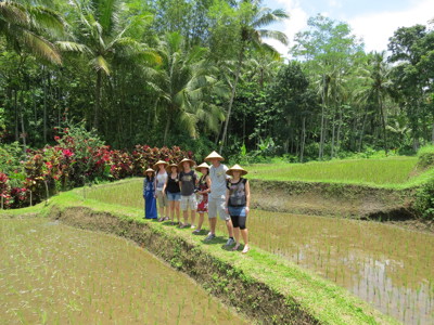 Route Java en Bali, 22 dagen - Day 9