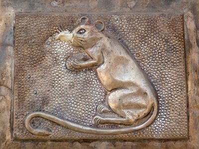 Route Rajasthan & Gujarat, 20 dagen - Dag 9