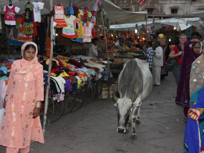 Route Rajasthan & Gujarat, 20 dagen - Dag 6