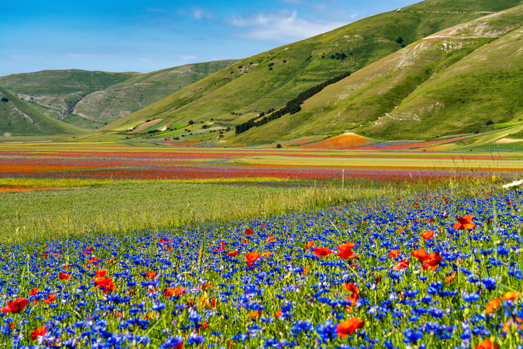 Castelluccio