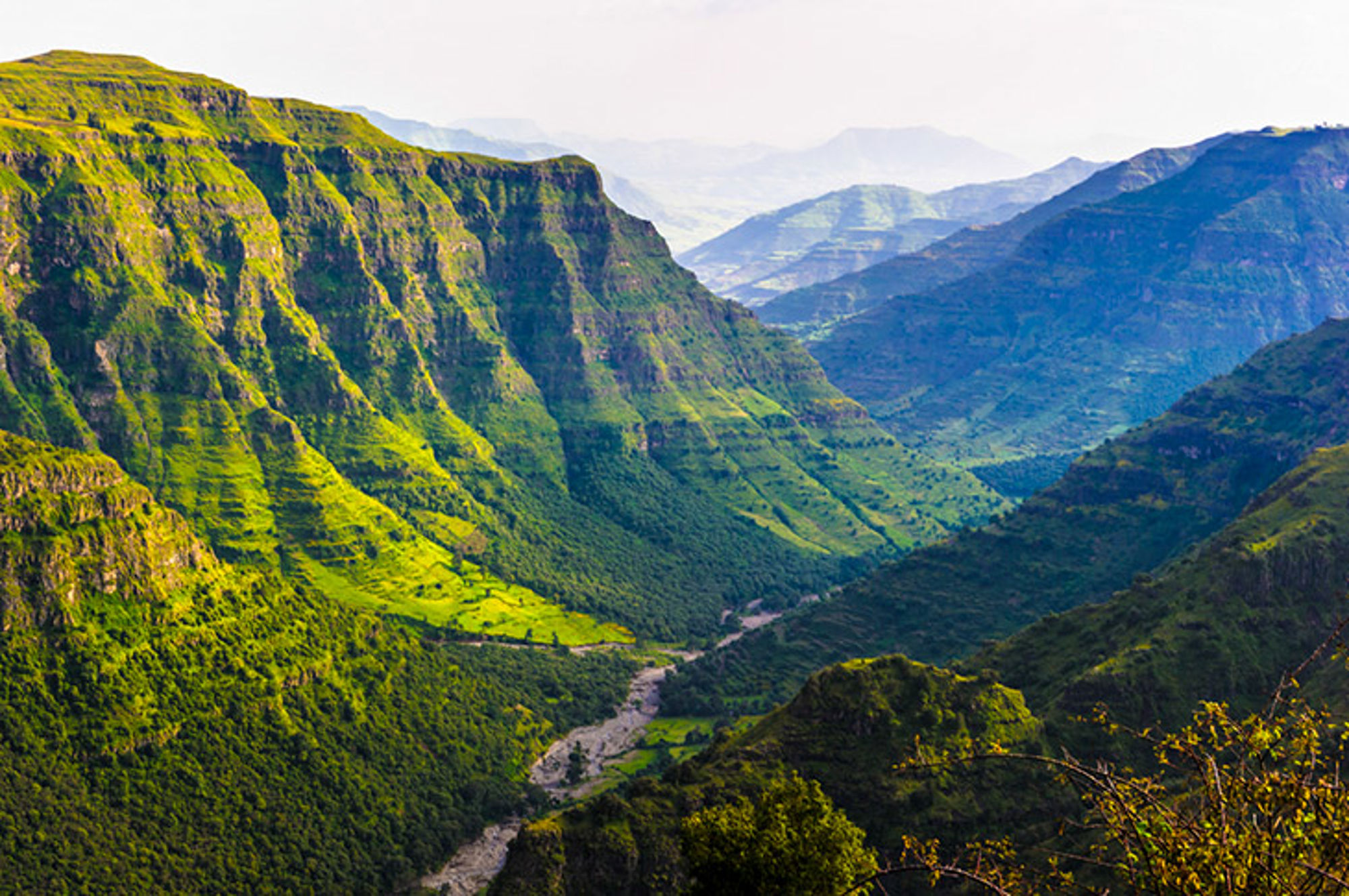 Bossen en gebergte in Noord-Ethiopië