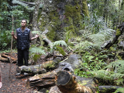 Route 2016 Nieuw-Zeeland, 28 dagen - Dag 4