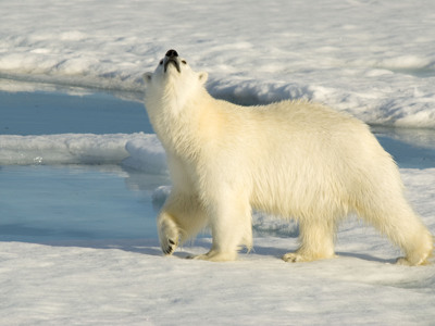 Zeilreis met de Antigua 2020 - Dag 15